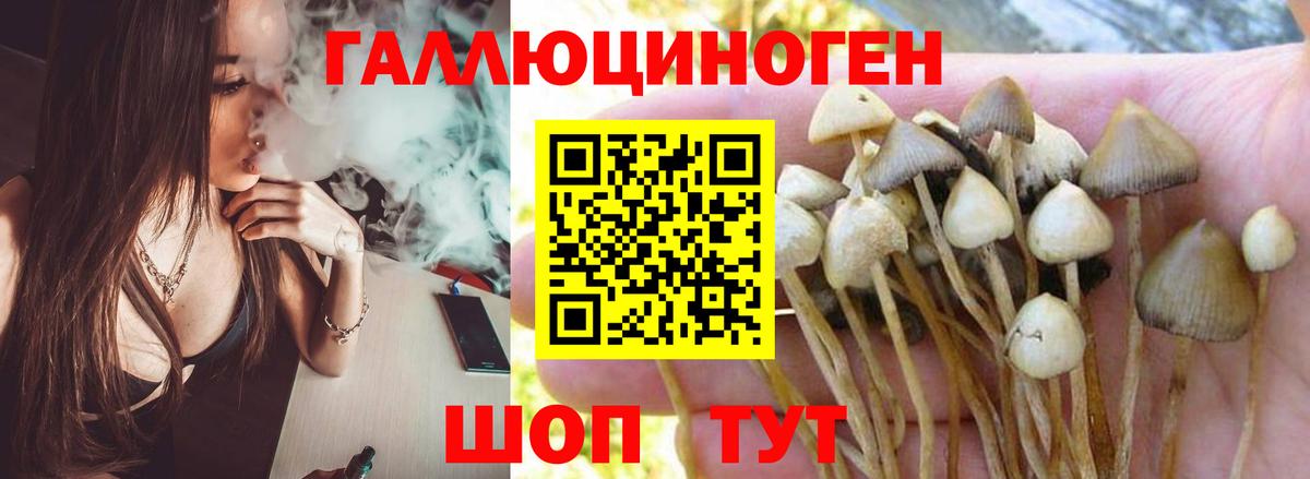 Псилоцибиновые грибы ЛСД Борисоглебск